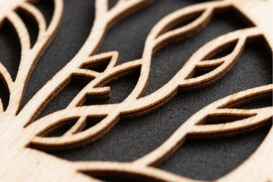 လေဆာဖြတ်တောက်ခြင်းအတွက်မည်သည့်လေဆာရောင်ခြည်ကိုဖြတ်တောက်ခံရသူလိုအပ်သနည်း။